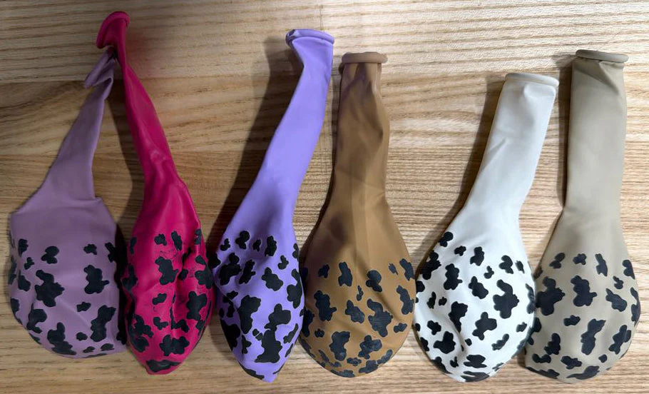 12" Kalisan Printed Cow Assorted (Print Color: Black) (6 Piece Sample Pack) of Latex Balloons - Image 2