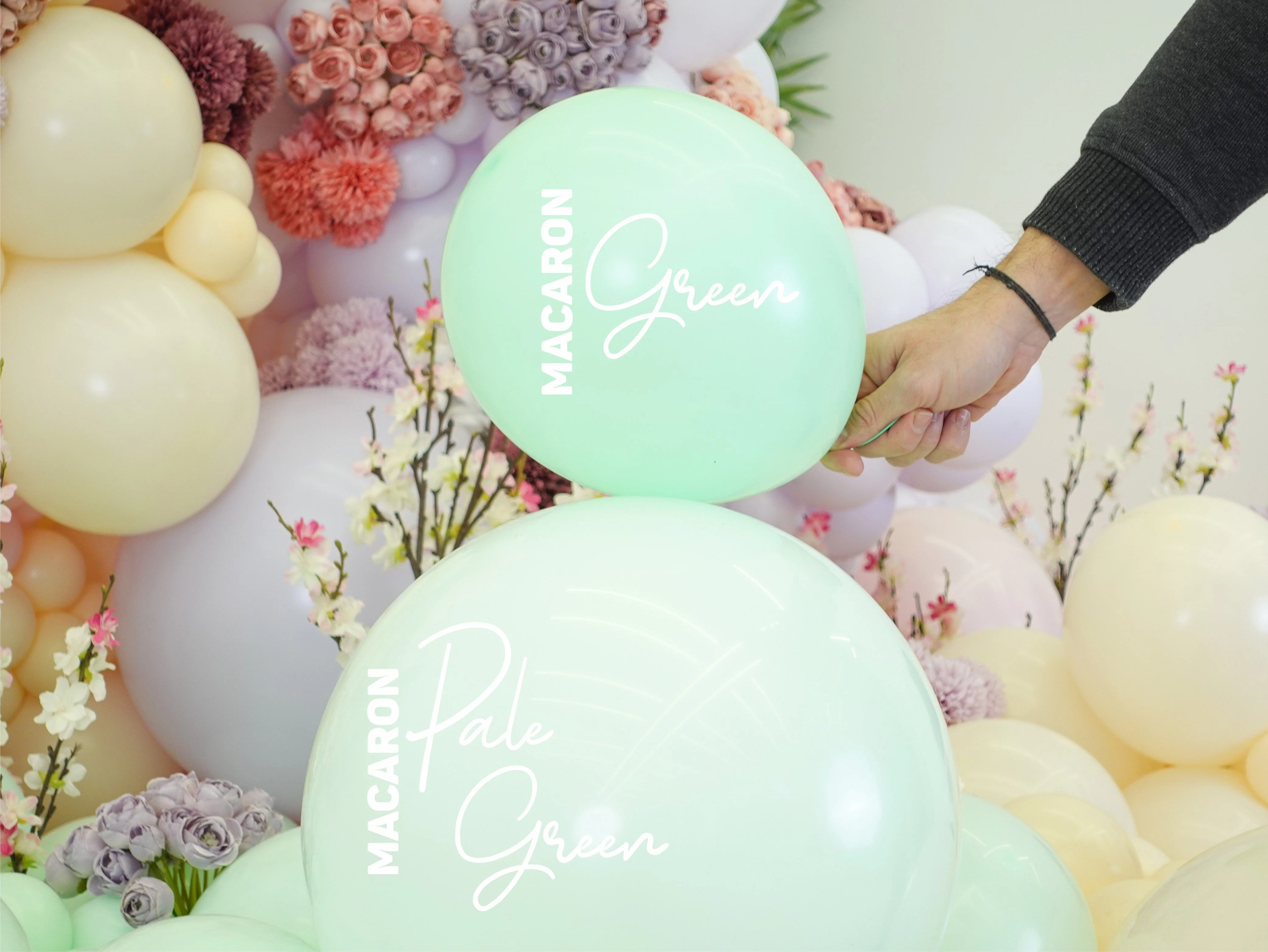 24" Kalisan Latex Balloons Standard Macaron Pale Green (5 Per Bag) - Image 8