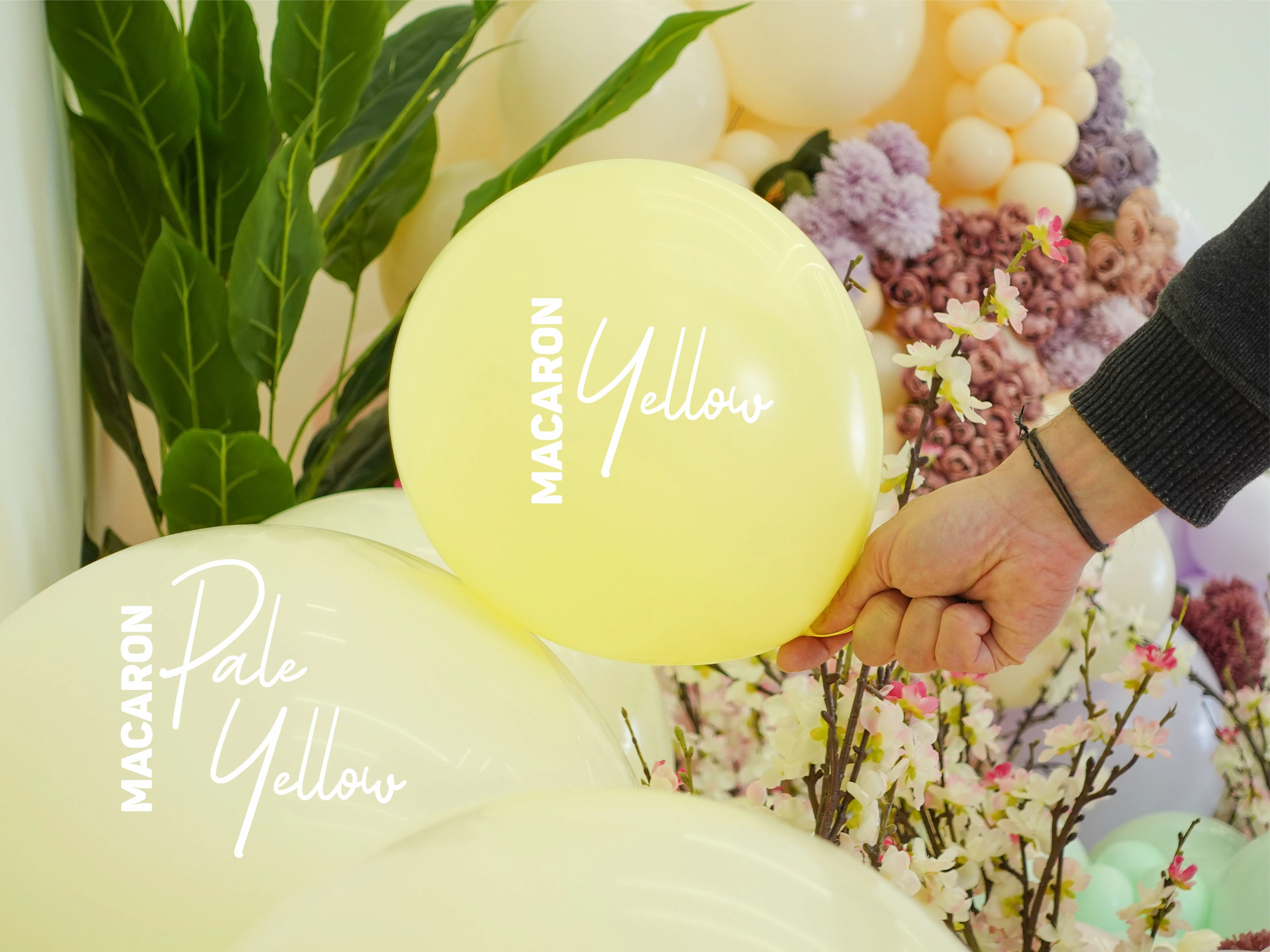 24" Kalisan Latex Balloons Standard Macaron Pale Yellow (5 Per Bag) - Image 3