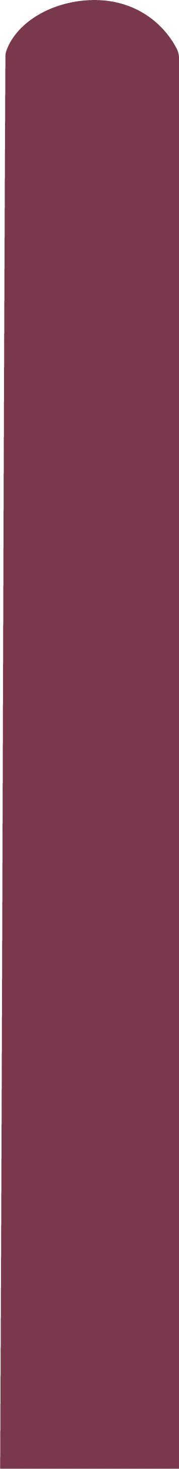 260D Deco Wild Berry Decomex Twisting Modelling Latex Balloons (100 Per Bag)