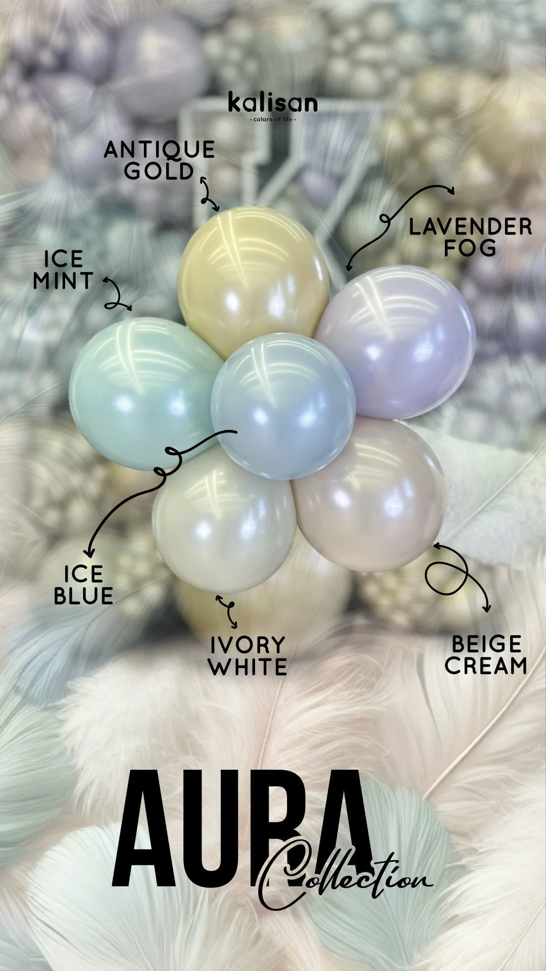 260K Kalisan Brand Twisting Latex Balloons Aura Beige Cream  (50 Per Bag) Nozzle Up - Image 15