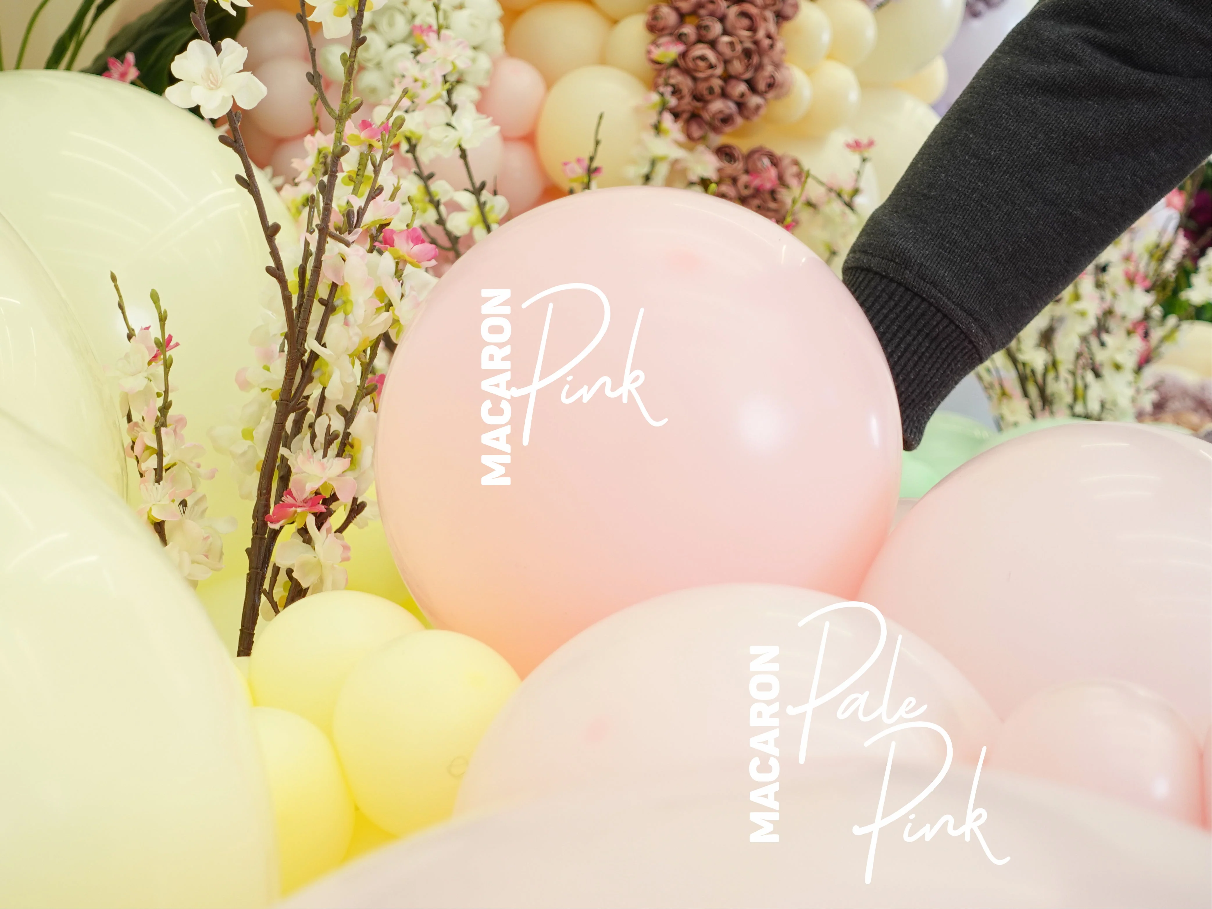 36" Kalisan Latex Balloons Standard Macaron Pale Pink (2 Per Bag) - Image 3