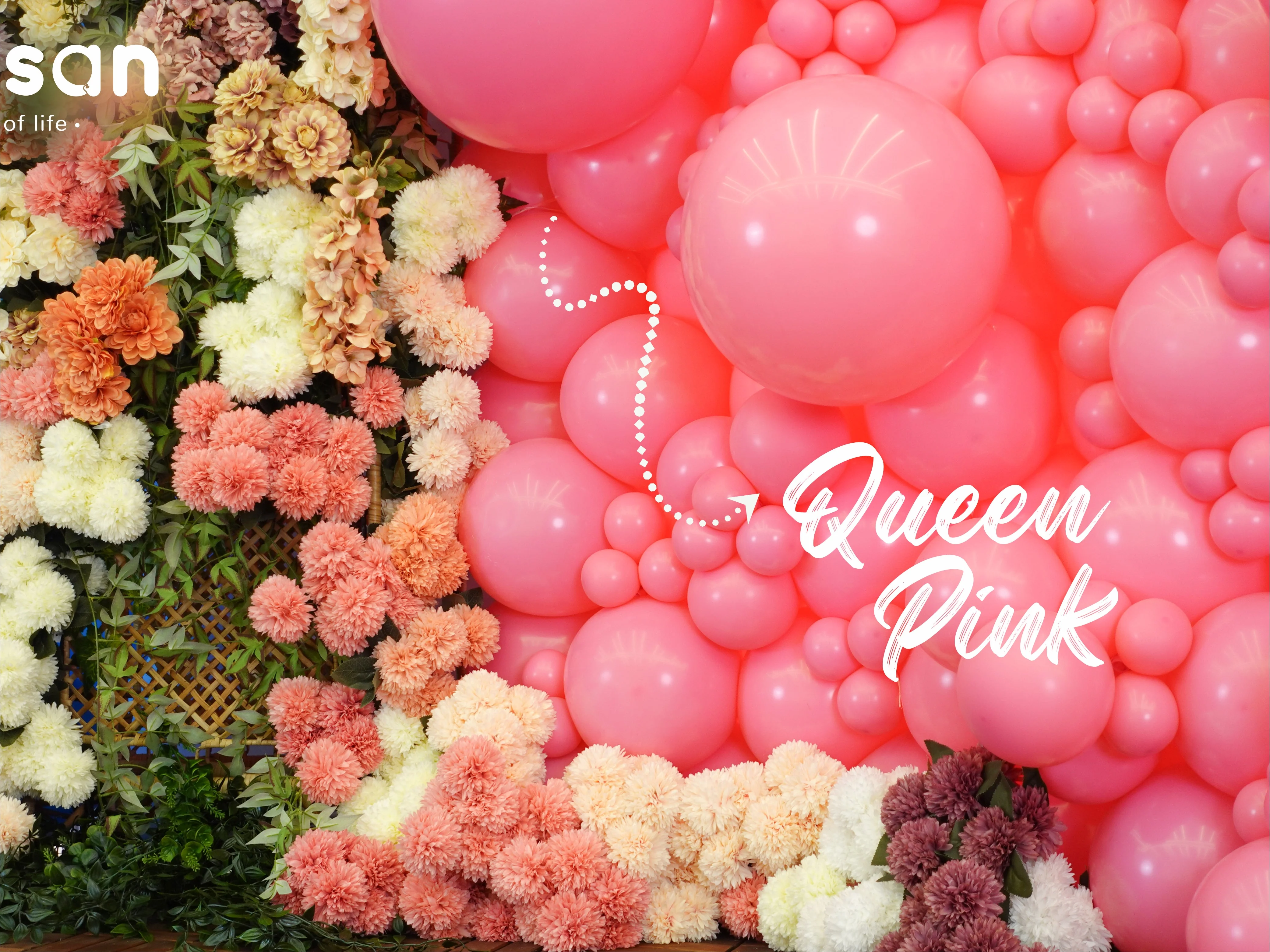 5" Kalisan Latex Balloons Standard Queen Pink (50 Per Bag) - Image 3