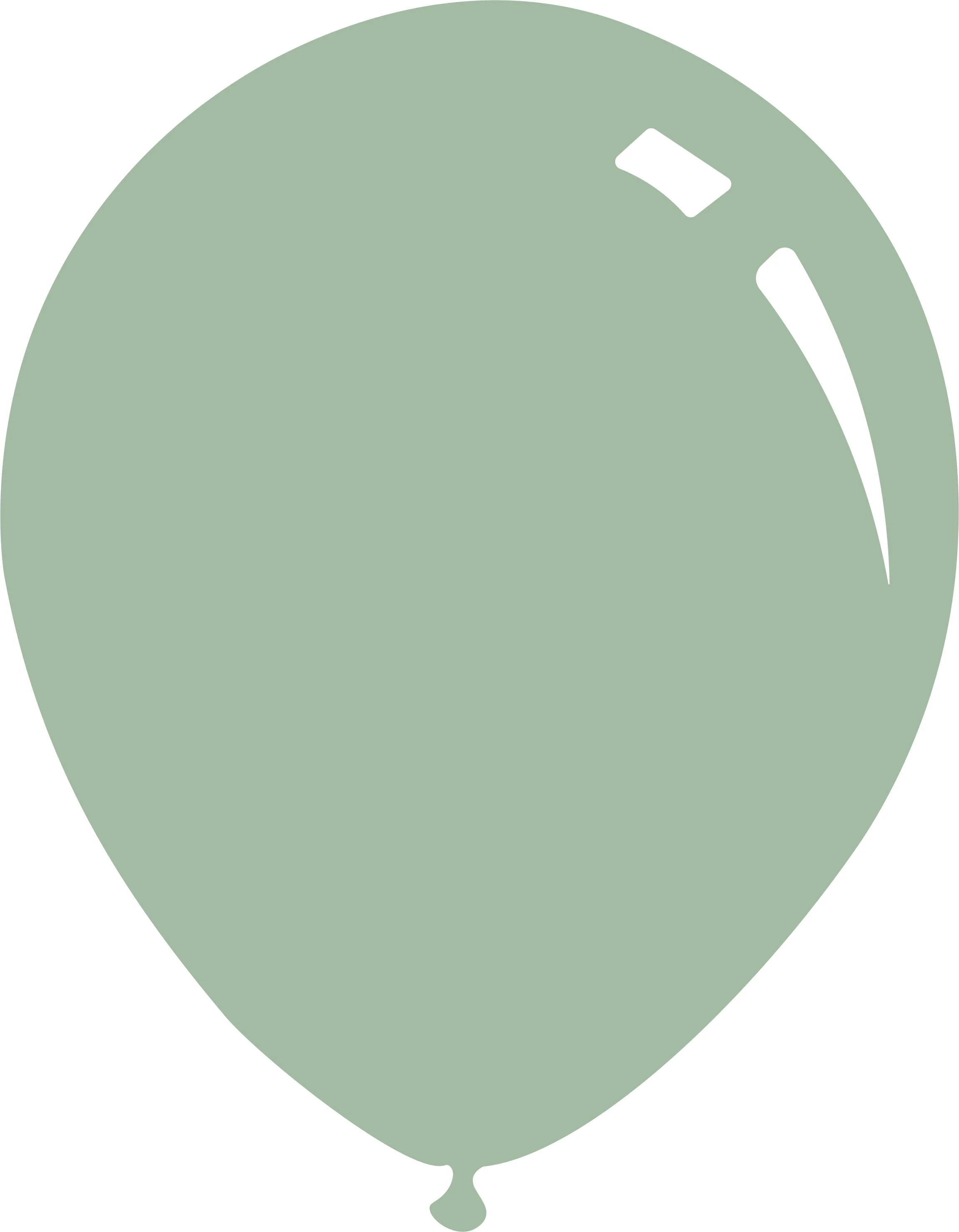 9" Deco Eucalyptus Decomex Latex Balloons (100 Per Bag)