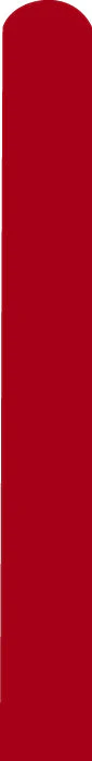 360D Standard Ruby Red Decomex Twisting Modelling Latex Balloons (50 Per Bag)