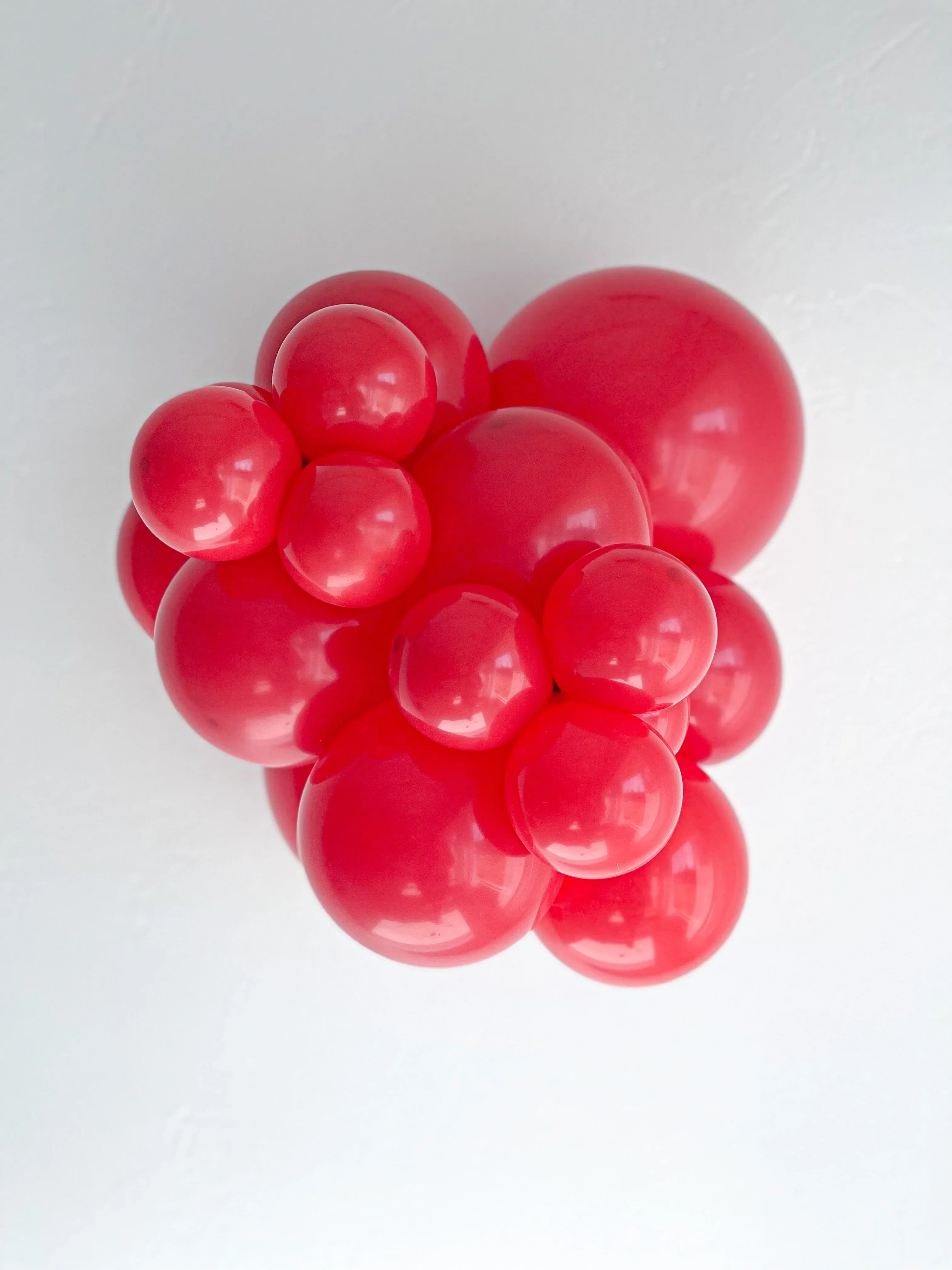 TT-260's Red Tuftex Brand Twisting Animal Standard Latex Balloons - Image 4
